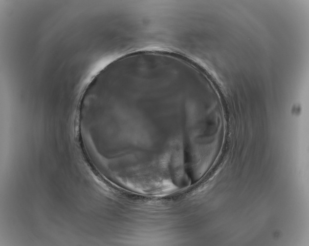 X0000096401367200802071551