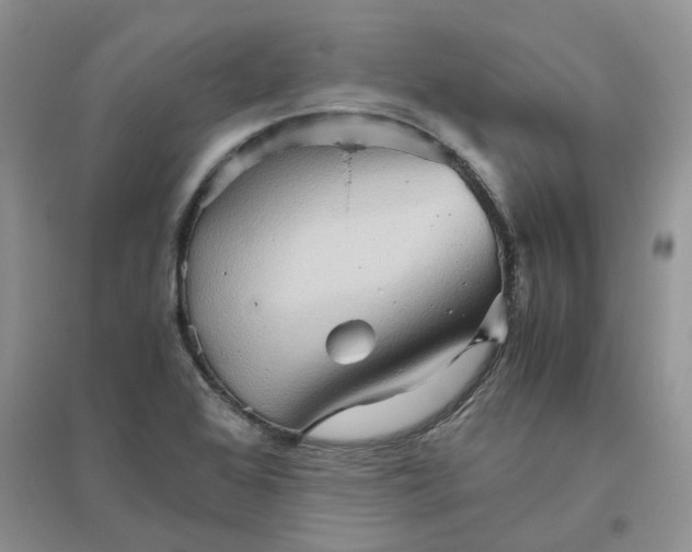 X0000096401368200802071551