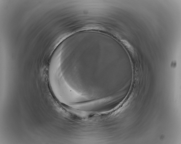 X0000096401369200802071551