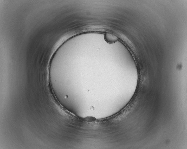 X0000096401370200802071551