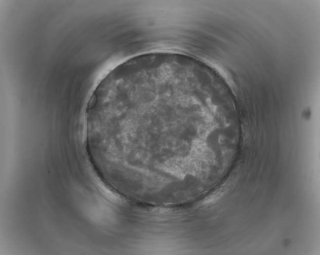 X0000096401371200802071551