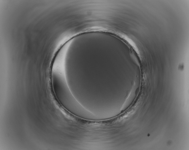 X0000096401373200802071551