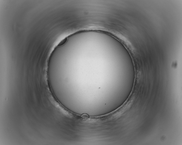 X0000096401374200802071551