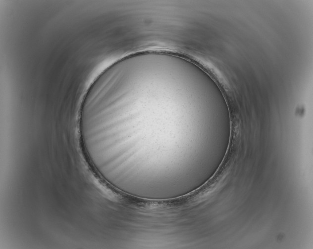 X0000096401375200802071551