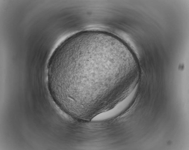 X0000096401376200802071551