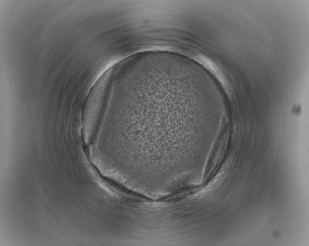 X0000096401377200802071551