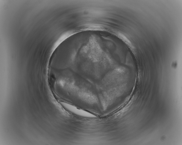 X0000096401378200802071551