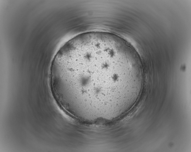 X0000096401379200802071551