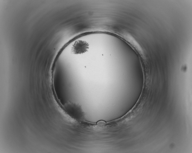 X0000096401380200802071551