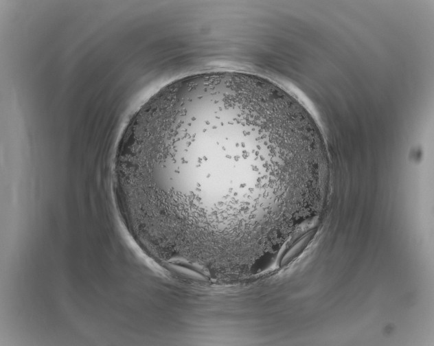 X0000096401381200802071550