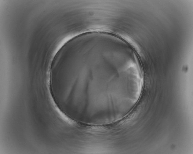 X0000096401383200802071550