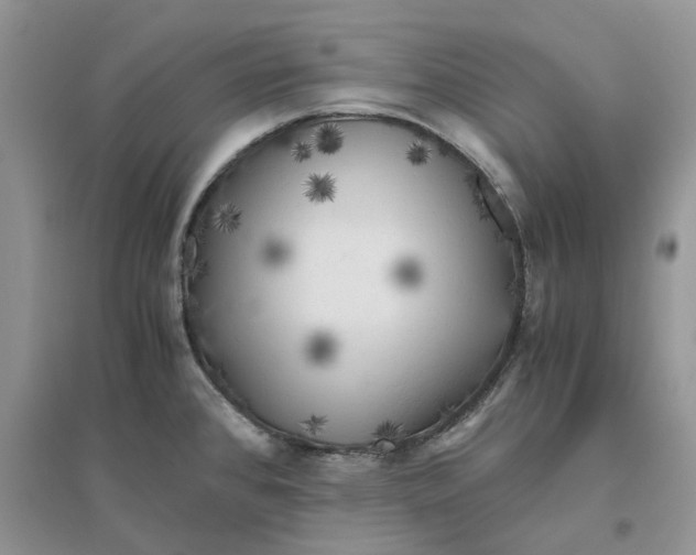 X0000096401384200802071550