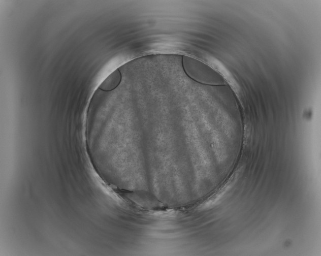 X0000096401386200802071550