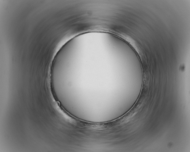 X0000096401387200802071550