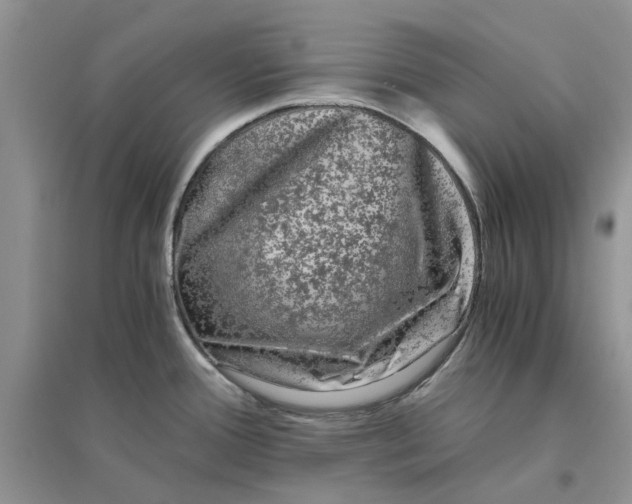 X0000096401388200802071550