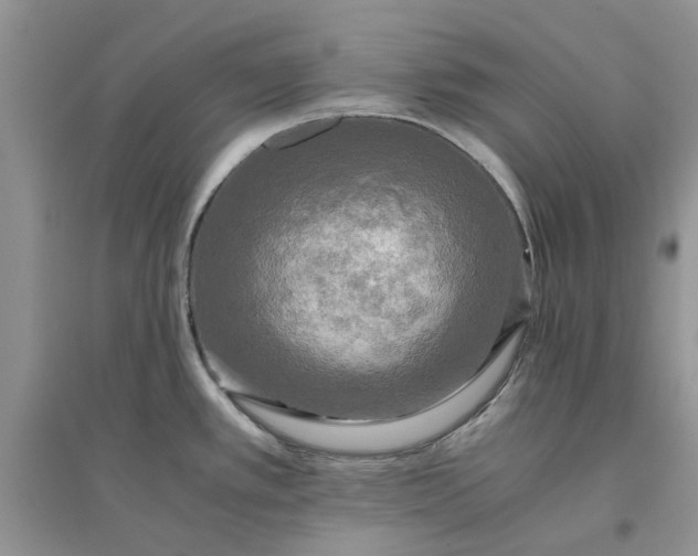 X0000096401389200802071550