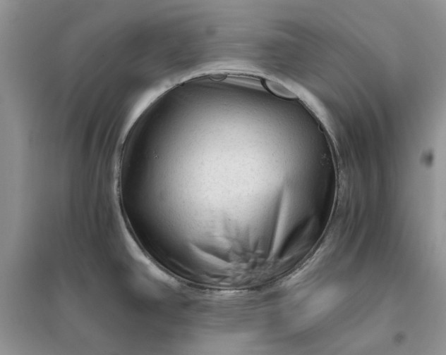 X0000096401390200802071550