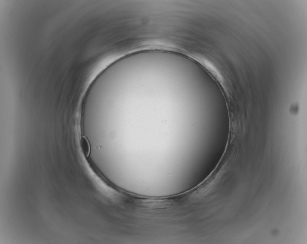 X0000096401391200802071550