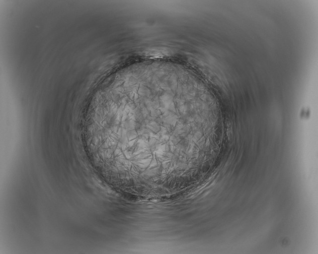 X0000096401393200802071550