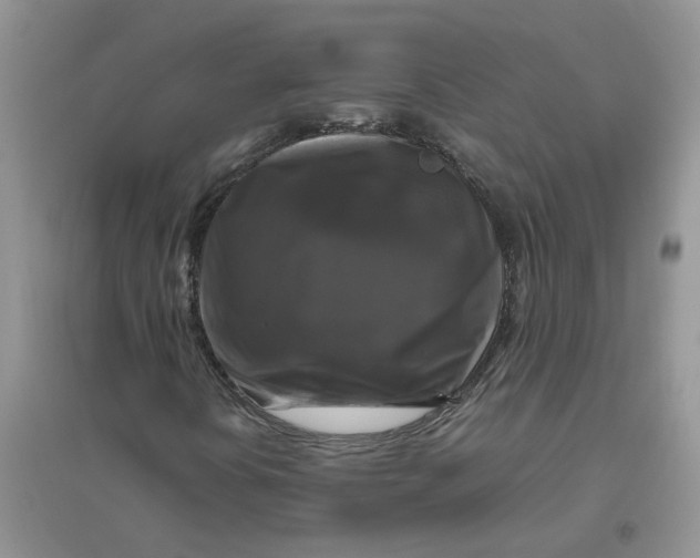 X0000096401394200802071550