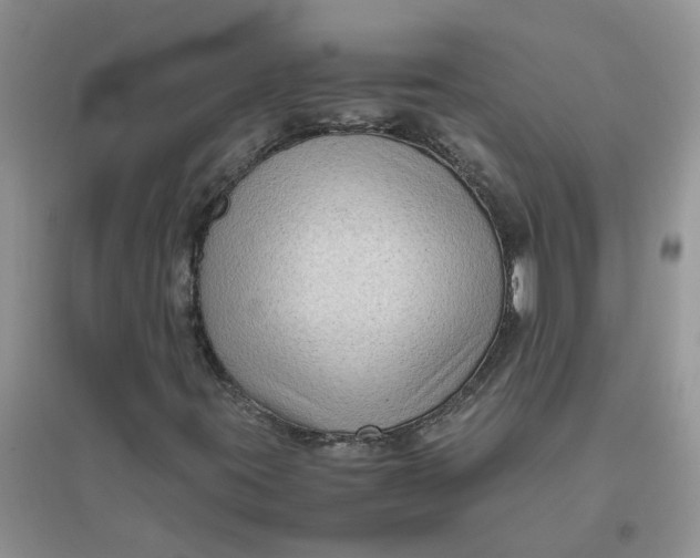 X0000096401395200802071550