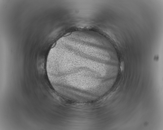 X0000096401396200802071550