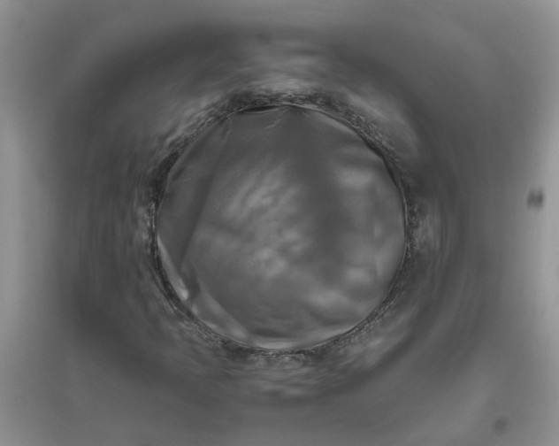 X0000096401397200802071550