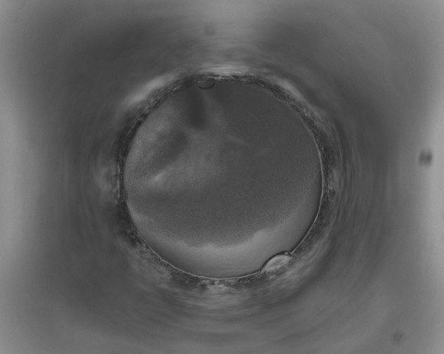 X0000096401398200802071550