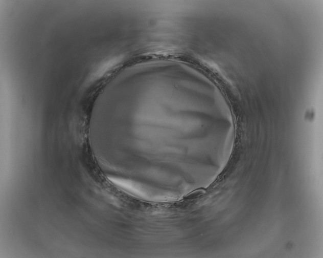 X0000096401399200802071550