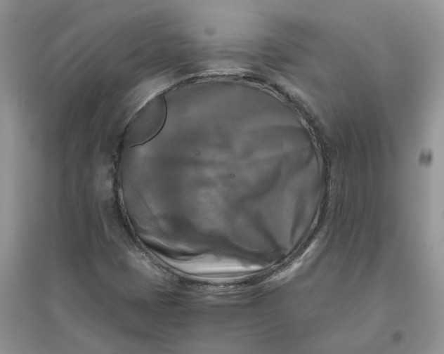 X0000096401401200802071550