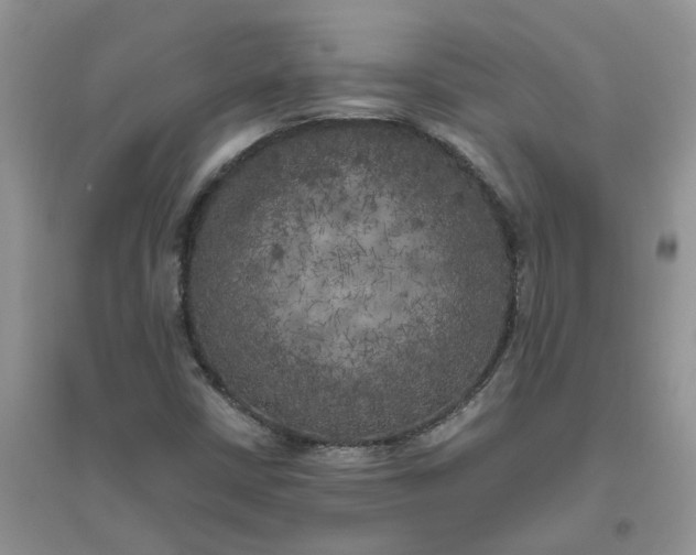 X0000096401402200802071550