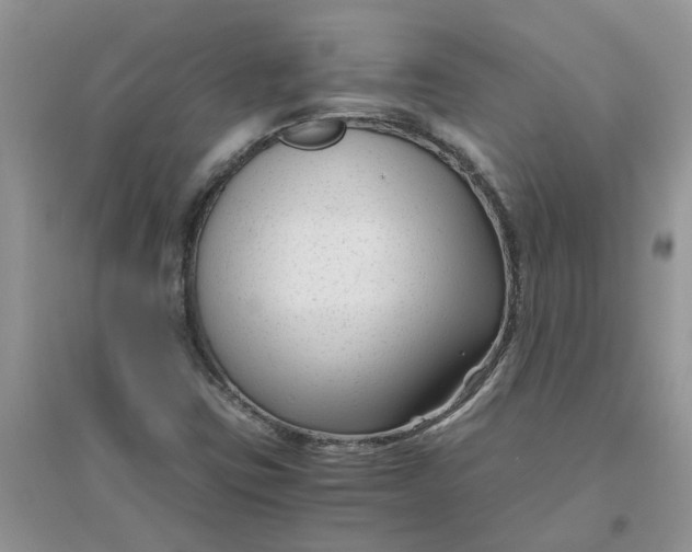 X0000096401403200802071550