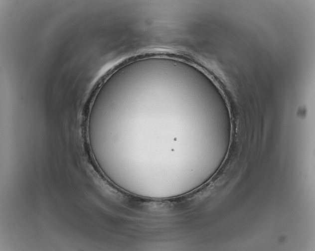 X0000096401404200802071550