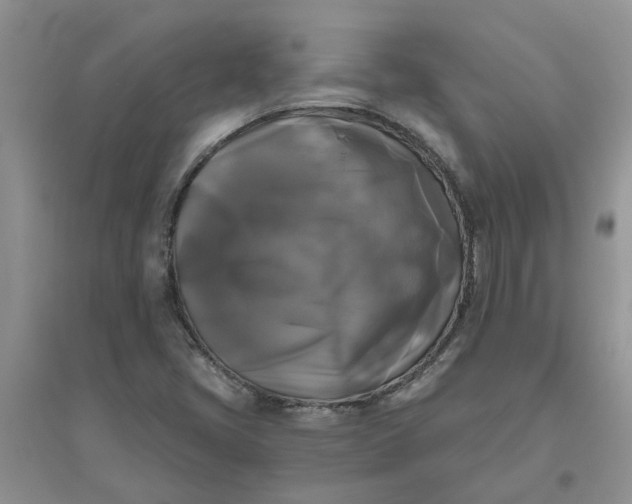 X0000096401405200802071550