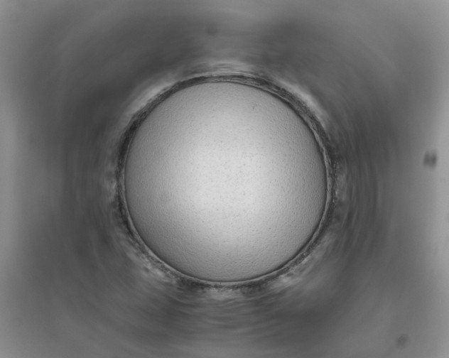 X0000096401407200802071550