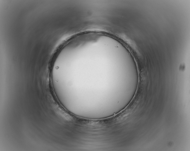 X0000096401408200802071550