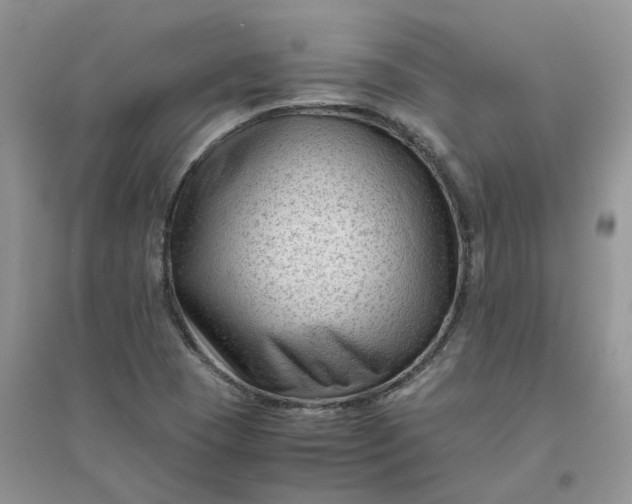 X0000096401409200802071550