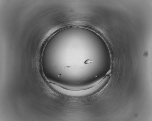 X0000096401410200802071550