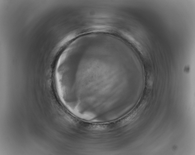 X0000096401411200802071550