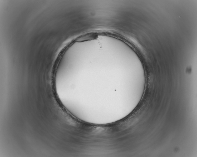 X0000096401412200802071550