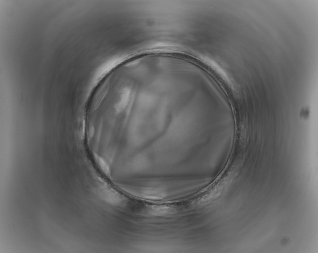 X0000096401413200802071550