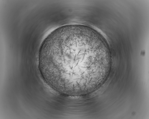 X0000096401415200802071550