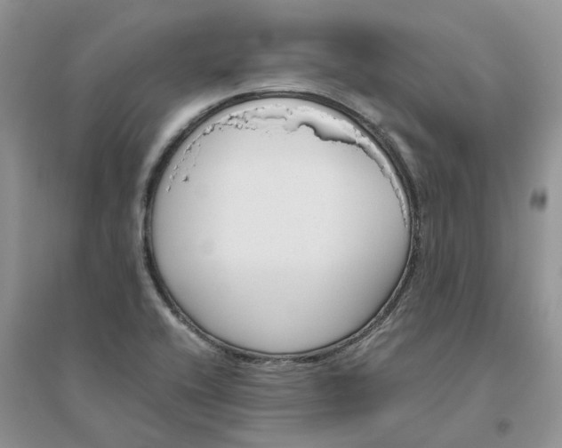 X0000096401416200802071550