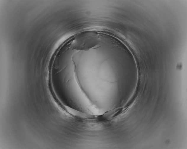 X0000096401418200802071550