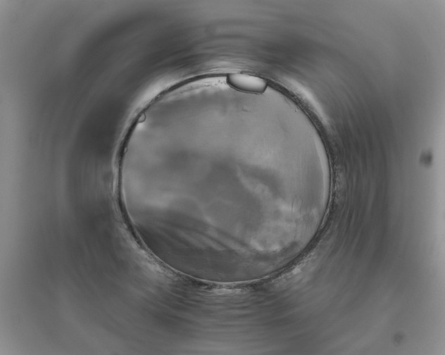 X0000096401419200802071550