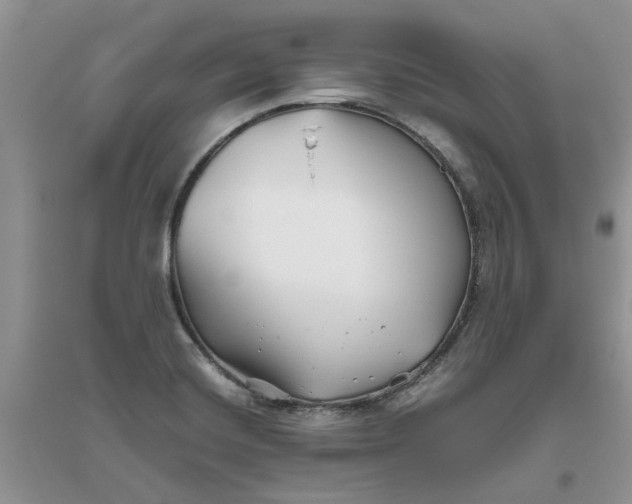 X0000096401420200802071550