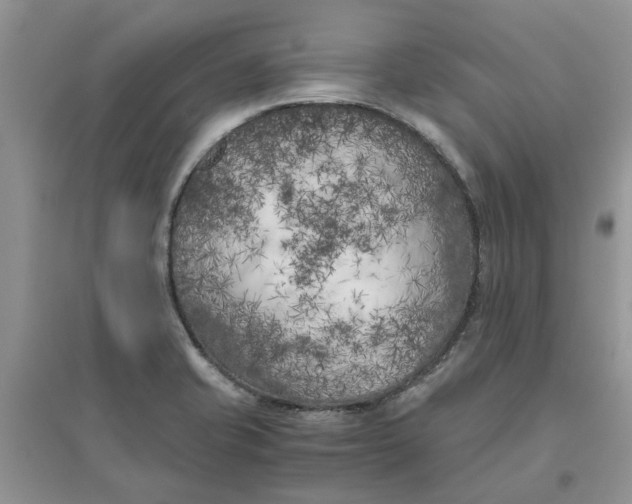 X0000096401421200802071550