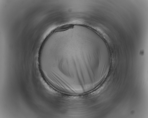 X0000096401422200802071550