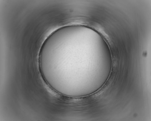 X0000096401423200802071550