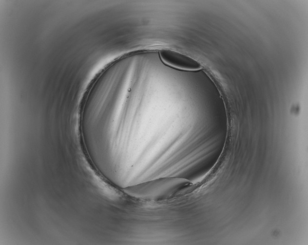 X0000096401424200802071550